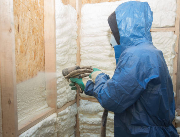 Best Commercial Insulation Services  in Vernon, AL